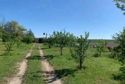 Fermă de vânzare în com. Deleni - DN3 - 10.680 mp - 84 m deschidere - 32