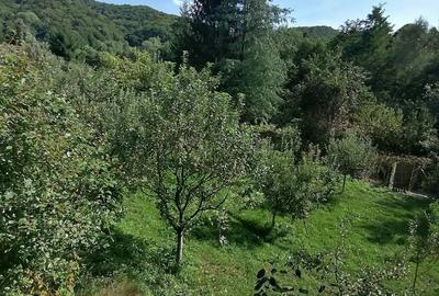 Casă cu 5 camere în Racovița - 2