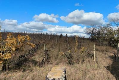 Casă cu 4 camere în Central - 5