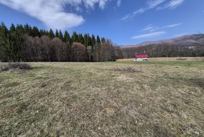 Teren intravilan la baza pădurii Valea Doftanei sat Traisteni (poduri) - 10