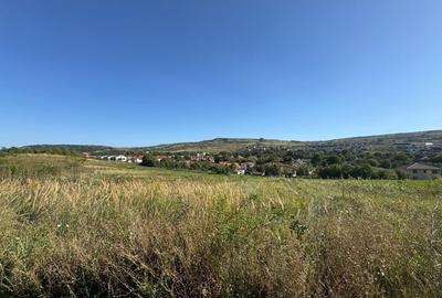 Teren intravilan de vânzare în Chinteni – ideal pentru construcții rezidențiale - 2