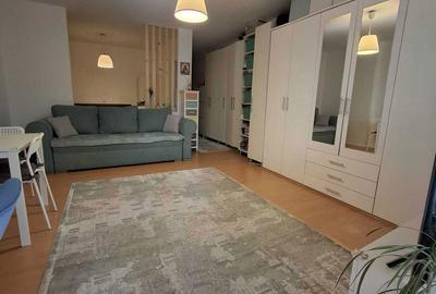 Apartament cu 2 camere nedecomandat în Tilișca - 4