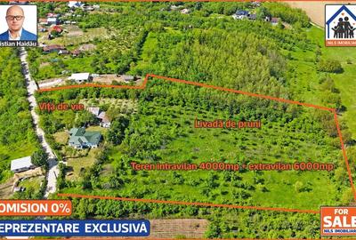 Casă cu 4 camere cu Teren 10000 Mp în Central - 9