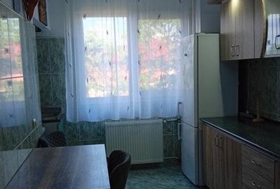 Apartament cu 2 camere decomandat în Iosia - 9