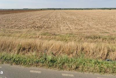 Spațiu comercial, în Micșunești-Moară - 1