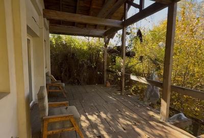 Casa de vacanta - Dambovita - 100 km de Bucuresti cadru rustic linistit Casa de vacanta - Dambovita - 100 km de Bucuresti cadru rustic linistit - 10