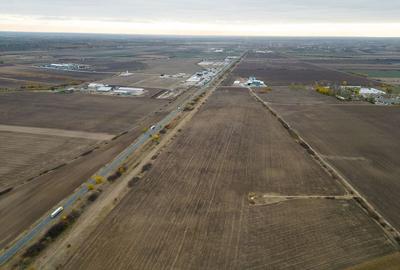 Teren 22.500 mp - Pecica, jud. Arad - 6