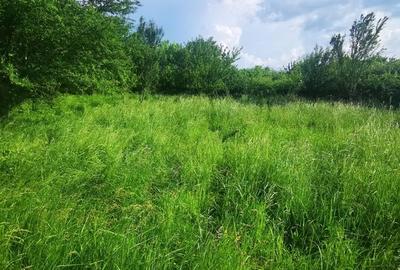 Teren intravilan 5 hectare comasat Bocsa 6 euro mp negociabil - 6