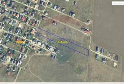 Vanzare Teren Magurele / Strada Nuferilor - 1