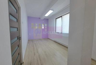 Vila P+3, 12 camere, 300 mp birouri/clinica/locuin?a, Timpuri Noi - 5