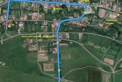 Teren intravilan 1584 mp in Murani - ideal pentru casa sau pensiune - 14