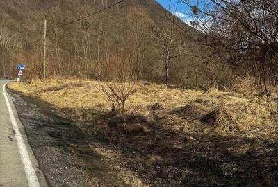 Teren de 1700 mp, în Brăzești - 2