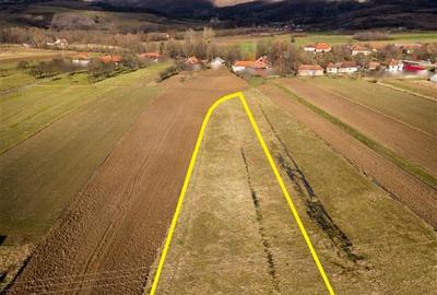 Teren Construcții intravilan de 2900 mp, în Borod - 7