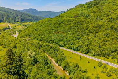 COMISION 0% Teren 3750mp / Sacele / DN1A / Potential turistic - 3