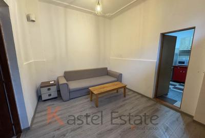 Apartament cu 2 camere semidecomandat în Parcul Carol - 4