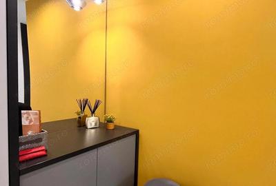 Apartament cu 3 camere decomandat, mobilat în Take Ionescu - 10