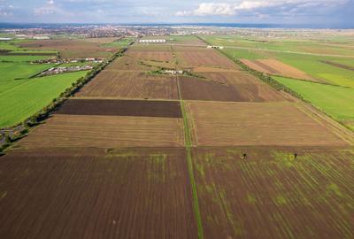 Teren de 100000 mp, în Central