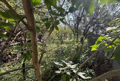 Casa individuala | 200 mp util | 780mp teren | Zona TCI | Borhanci - 2