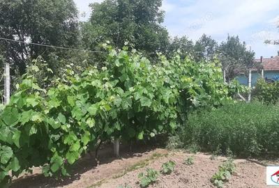 Casă cu 2 camere în Beltiug - 12