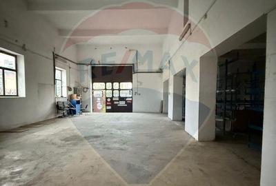 Hala - zona KAUFLAND Burdujeni - 14