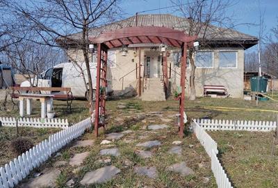 Casa si teren in natura - 1