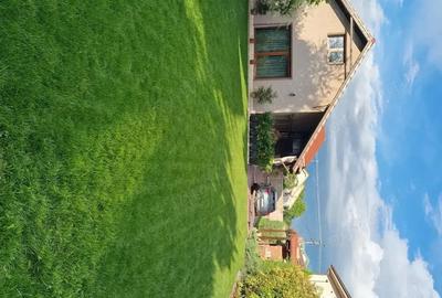 Casă cu 3 camere cu Teren 1458 Mp în Aradul Nou - 1