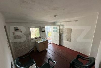 Casa Calea Domneasca 70mp, teren 350mp - 17