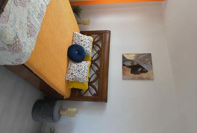 Apartament cu 2 camere semidecomandat în Domenii - 5