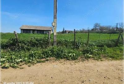 Teren Bradesti, ID: R2805453 - 2