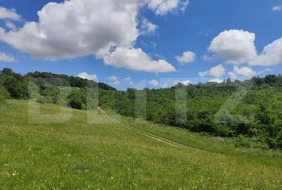 Teren de 28500 mp, în Gușterița - 4