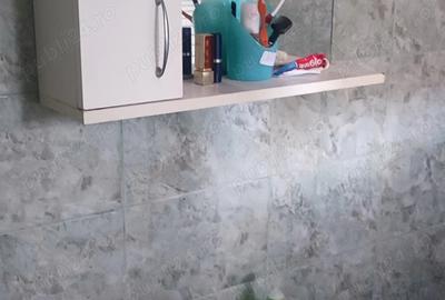 Casă cu 6 camere cu Teren 2880 Mp în Mișca - 2