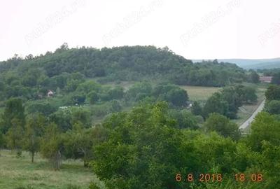 Casă cu Teren 2900 Mp în Central