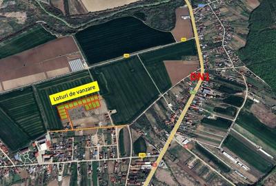 Loturi de casa -  1.000 mp intravilan - Strada Scolii - Ciolpani Ilfov