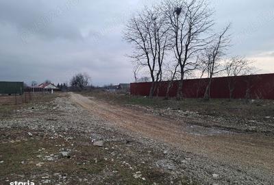 Teren de 1450 mp, în Tărlungeni - 11