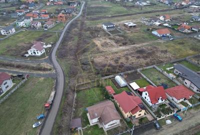 Teren intravilan casa individuala | Mosnita Noua - 5