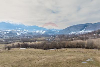 Teren Construcții intravilan de 5602 mp, în Tohanu Nou - 7