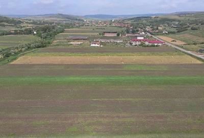 Teren de 10600 mp, în Borșa - 5