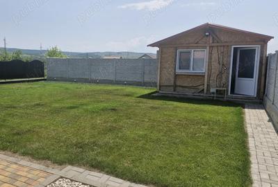 CASA DE VANZARE ALBA-IULIA (fara investi?ii interioare si exterioare, mobilata,gata de mutat)PARTO? - 8