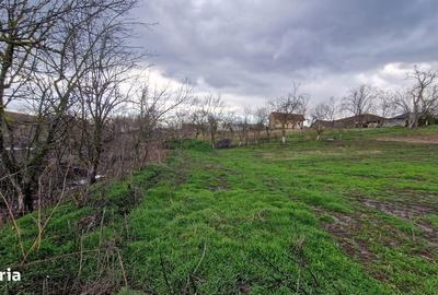 Teren de 664 mp, în Remetea Mare - 4