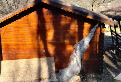 Teren Construcții intravilan de 1050 mp, în Pietrari (Păușești-Măglași) - 9