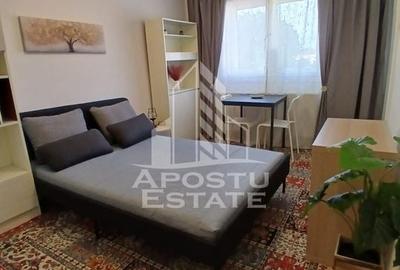 Garsoniera Pet friendly, zona Buziasului - 2