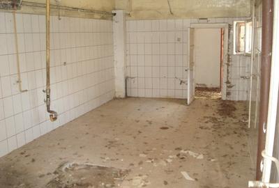 Conac istoric clasa B, 13 ha teren, valoare istorica - 5