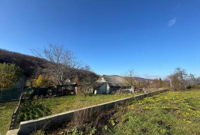 Vanzare  1400mp teren imprejmuit 2 loturi pt casa Adancata - sub padure - 14