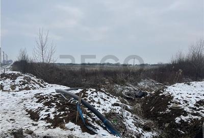 Teren de 26000 mp, în Cefa - 11