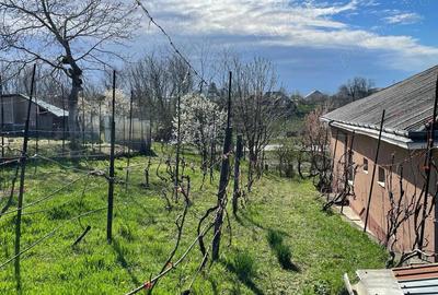 Casă cu 3 camere în Hălăucești - 4