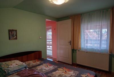 Casa de vanzare Soimus - 9