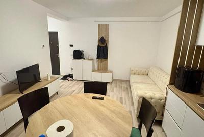 Apartament 2 camere, Remetea Mare, direct proprietar, disponibil imediat - 3