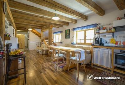 Casa rustica, exclusivista, 5 camere, 170 mp utili, 550 mp teren, Salicea - 3