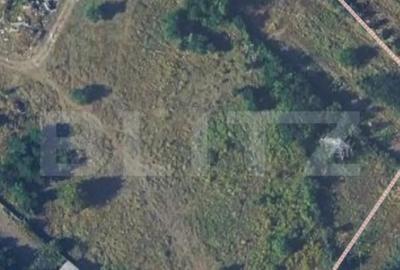 Teren de 2928 mp, în Viișoara - 1