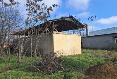 Casă individuală cu 4 camere cu Teren 1634 Mp în Vasile Alecsandri - 8